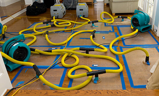 Professional Basement Flood Cleanup technician working in Colebrook, NH